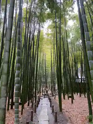 報国寺のその他建物