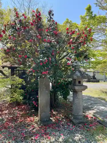 法華寺(福島県)