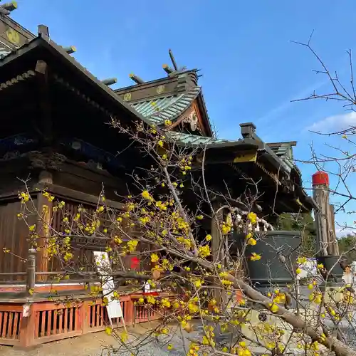 板倉雷電神社の本殿・本堂