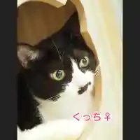 天王山 安楽寺(福井県)