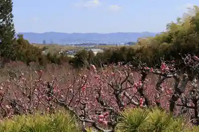 正法寺(京都府)
