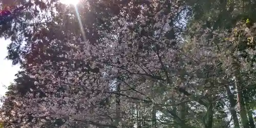 浅間神社(神奈川県)