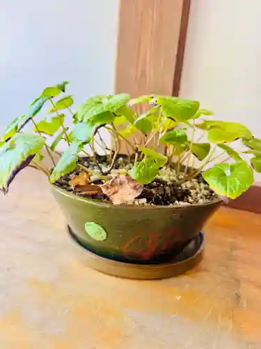 土津神社｜こどもと出世の神さま(福島県)