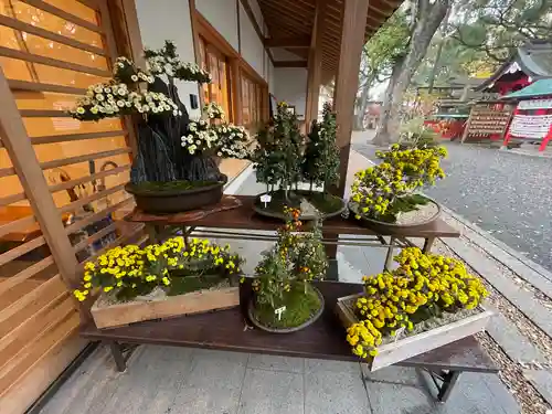 美奈宜神社(福岡県)