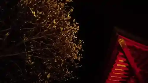 星宮神社 (山川町)のその他建物