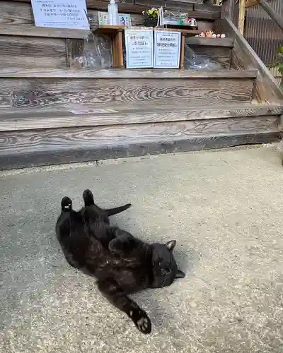 高司神社〜むすびの神の鎮まる社〜(福島県)