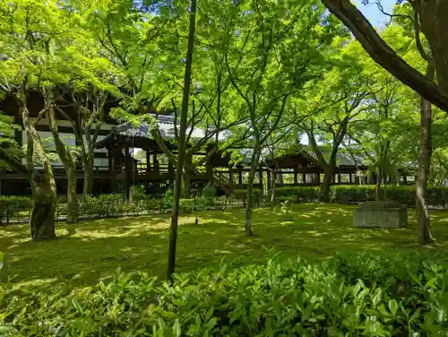 真正極楽寺（真如堂）(京都府)