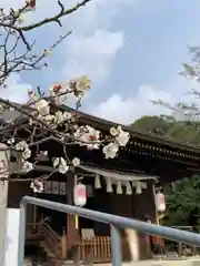 弓弦羽神社(兵庫県)