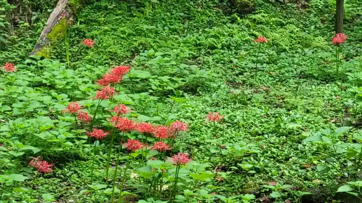 香取神宮の自然