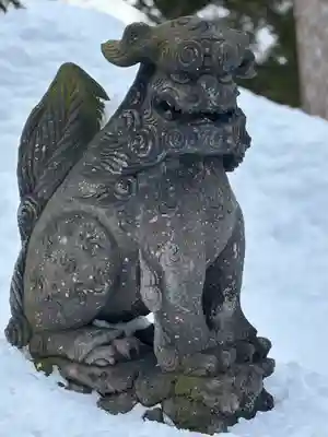 新琴似神社の狛犬