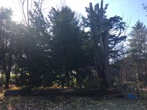 砂川神社(北海道)