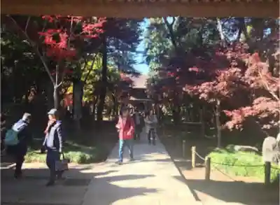 平林寺のその他建物
