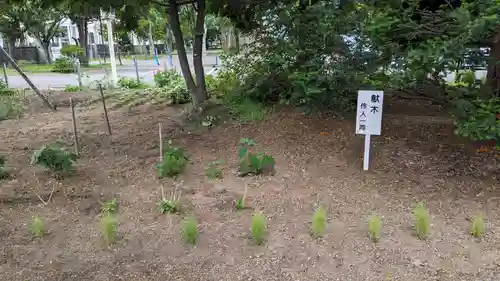 新琴似神社の庭園