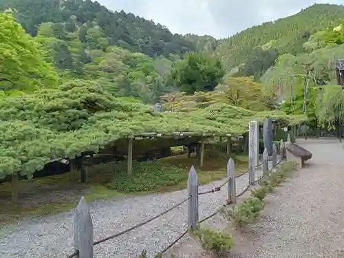 善峯寺(京都府)