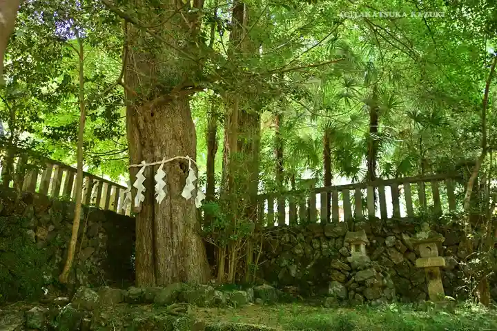 武蔵二宮 金鑚神社(埼玉県)