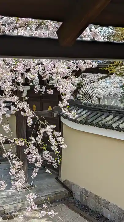 妙顯寺(妙顕寺)(京都府)