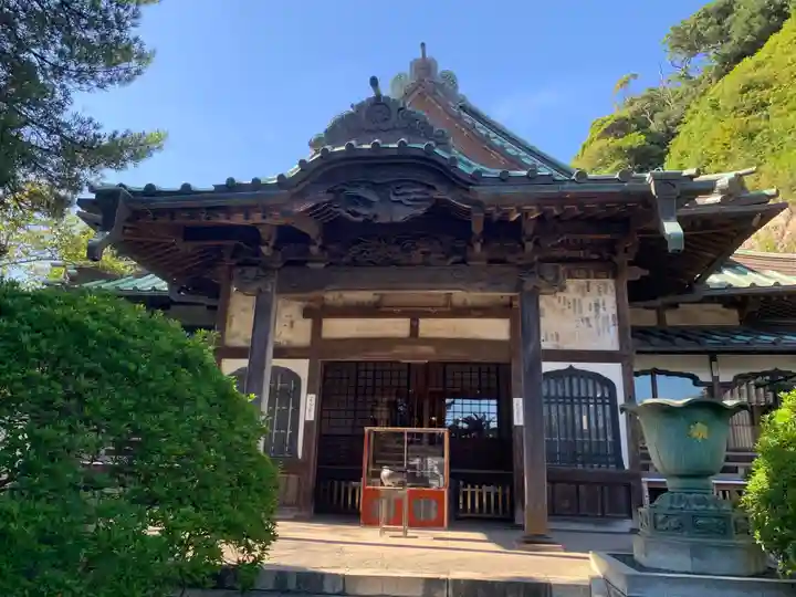 安養院 (田代寺)の本殿・本堂