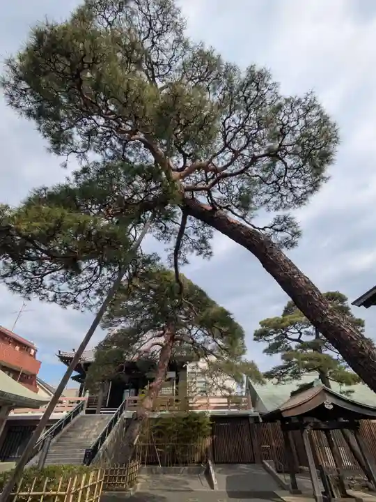 光明院(東京都)