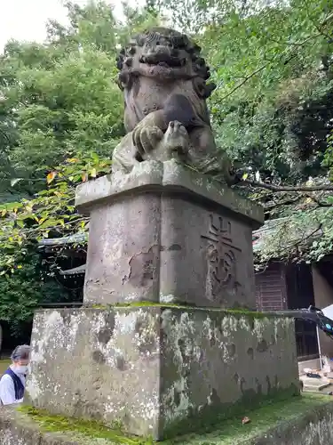 石神井氷川神社の狛犬