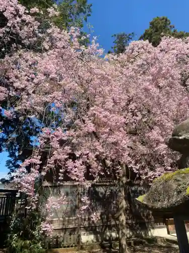 光丸山 法輪寺(栃木県)