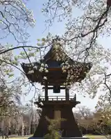 慈眼寺(群馬県)