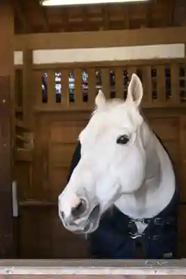 金刀比羅宮(香川県)