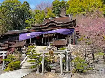 竹生島神社(都久夫須麻神社)の本殿・本堂