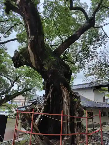 土肥神社(静岡県)