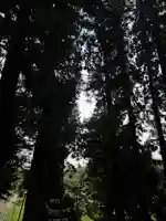 大宮温泉神社(栃木県)