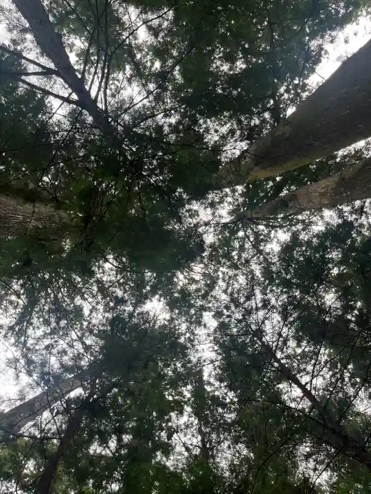 小國神社の自然