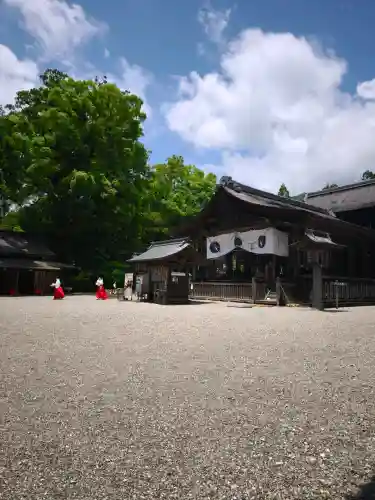 土佐神社の{uncategorized: "未分類", other: "その他", undefined: "問題あり", building: "その他建物", grave: "お墓", sacred_gate: "鳥居", guardian: "狛犬", statue: "像", buddha: "仏像", history: "歴史", nature: "自然", garden: "庭園", animal: "動物", pagoda: "塔", temizu: "手水舎", mountain_gate: "山門・神門", sanctuary: "本殿・本堂", subordinate: "末社・摂社", art: "芸術", scenery: "景色", jizo: "地蔵", ema: "絵馬", goshuin: "御朱印", omikuji: "おみくじ", items: "授与品その他", amulet: "お守り", goshuincho: "御朱印帳", eats: "食事", festival: "お祭り", votive_dance: "神楽", shichigosan: "七五三参", wedding: "結婚式", experience: "体験その他", initially: "初詣", around: "周辺", anti_infection: "感染症対策"}