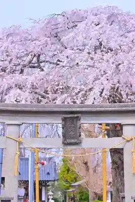 栗谷須賀神社(神奈川県)