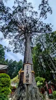 北口本宮冨士浅間神社(山梨県)