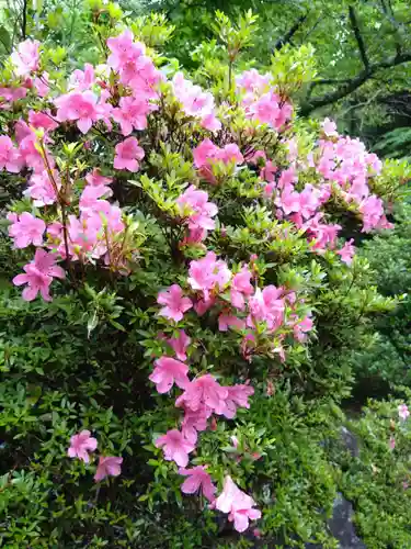 霧島神宮(鹿児島県)