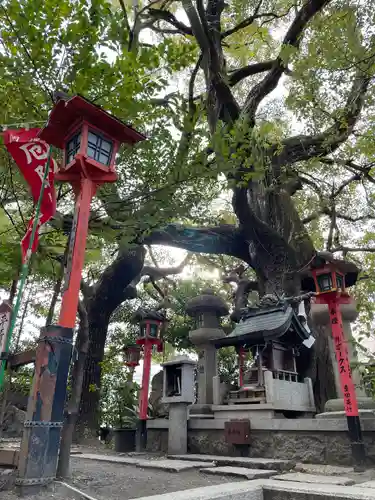 若一神社の末社