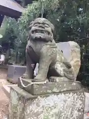 鷲神社の狛犬