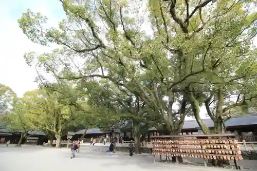 熱田神宮の自然