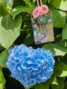 長慶寺(大阪府) 2025年06月08日(日)〜(2025年06月06日(金) 23時47分35秒投稿)