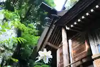 鹿島大神宮の本殿・本堂