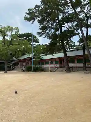 長田神社(兵庫県)