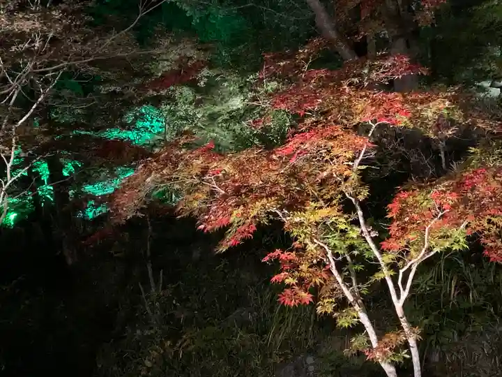 円通寺(栃木県)