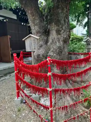 三輪神社(愛知県)