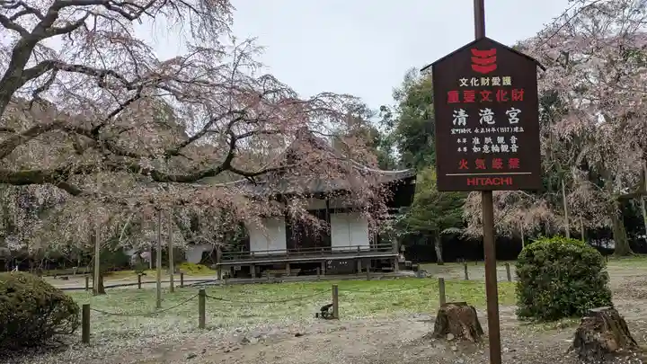 醍醐寺(京都府)