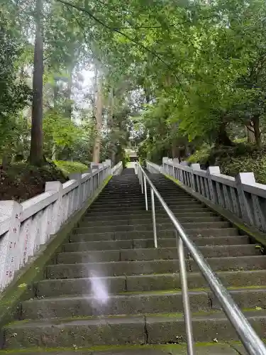 達磨寺(群馬県)