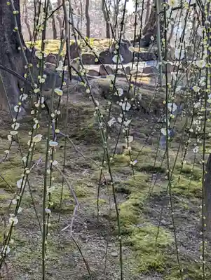 城南宮(京都府)