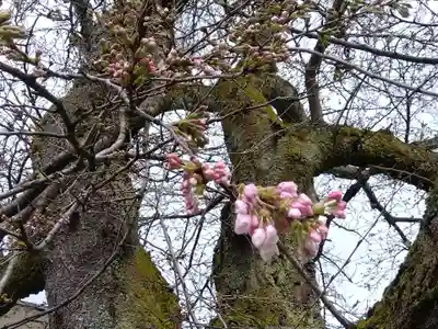妙経寺(福井県)