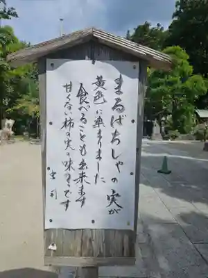天津神明宮(千葉県)
