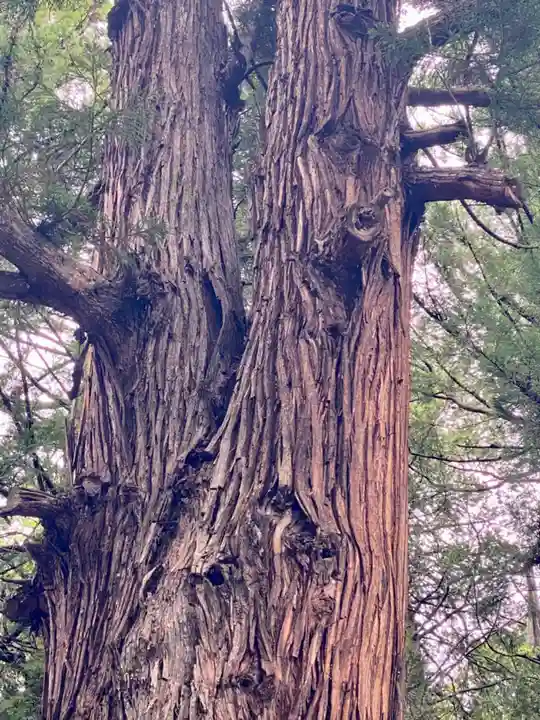 諏訪大社下社春宮(長野県)