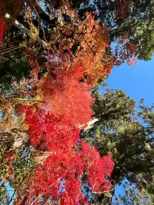 白山神社(滋賀県)