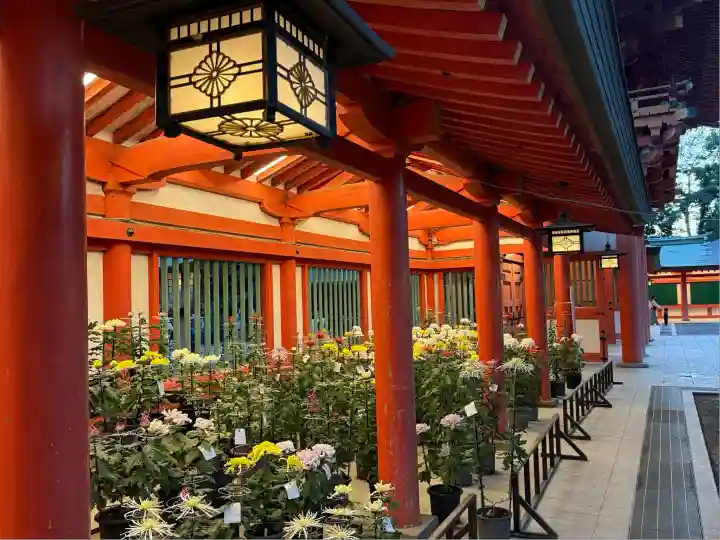 武蔵一宮氷川神社(埼玉県)